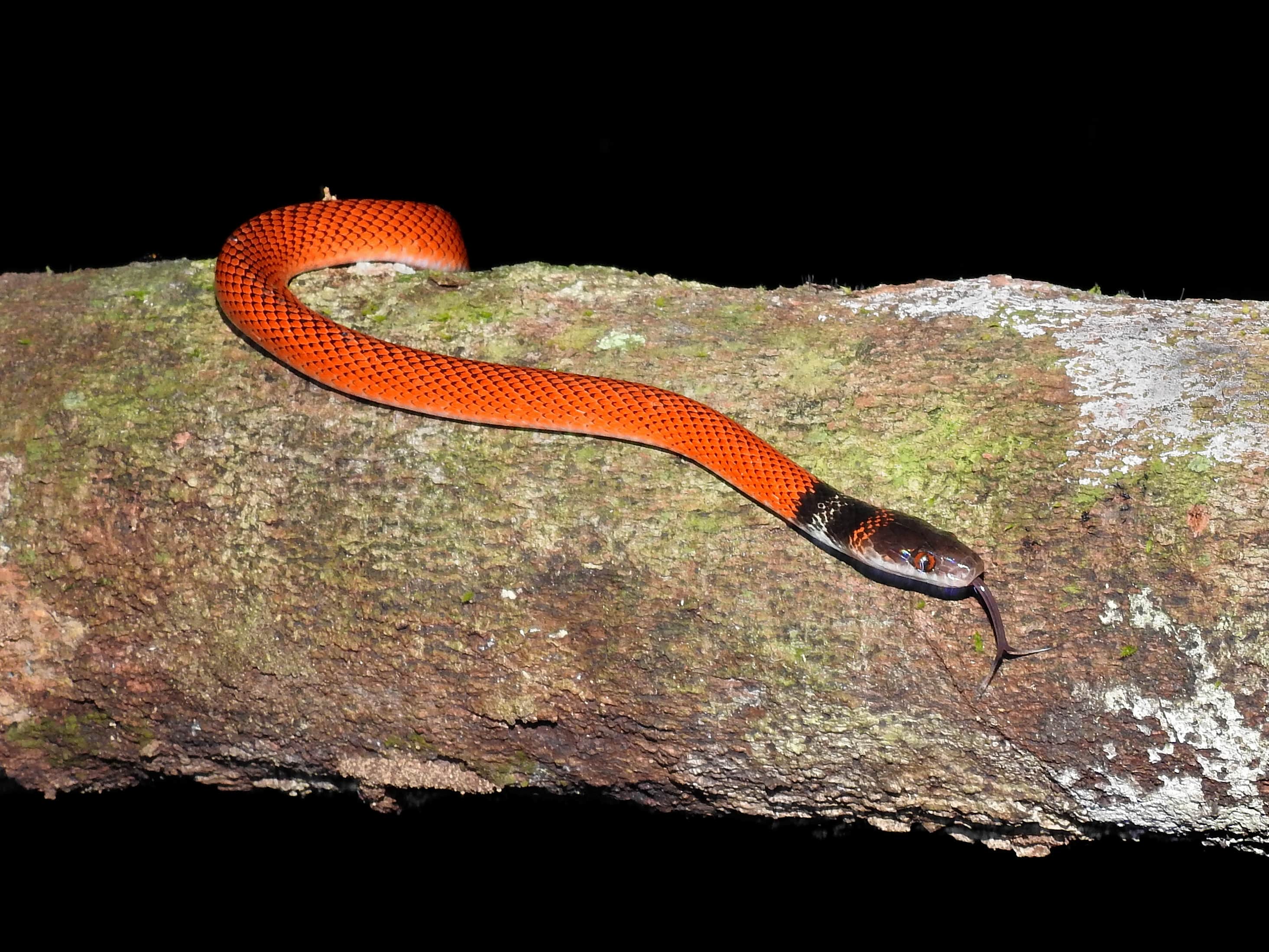 hiwi-ambiental-1-min.JPG