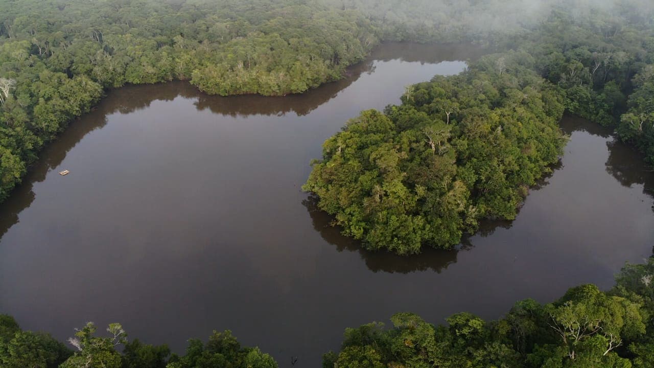 hiwi-ambiental-3-min.jpg