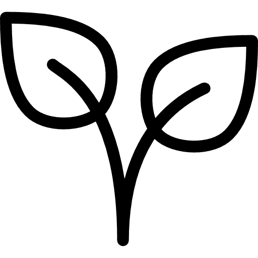 plant.png